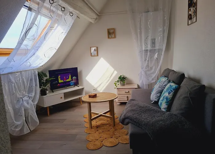 Studio Cosy