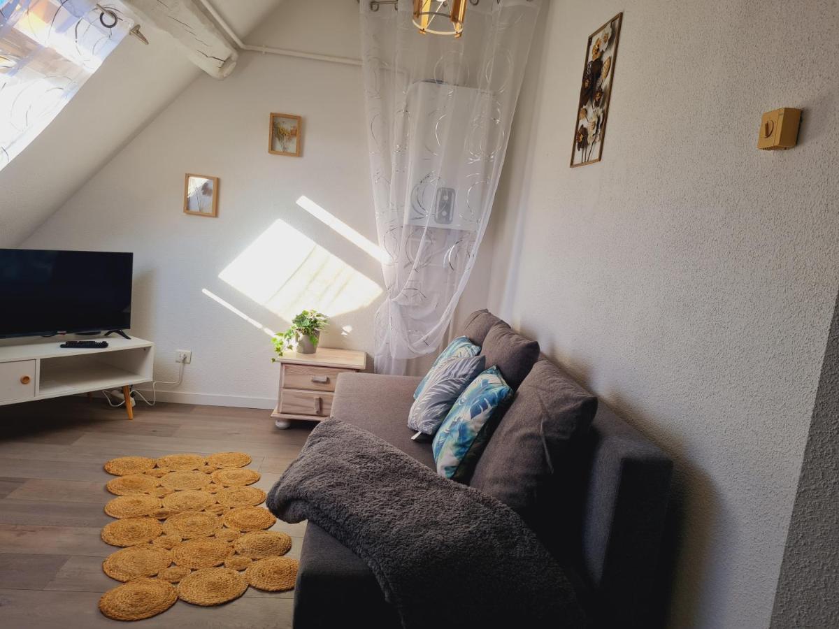 Apartment Cosy Vieux-Charmont